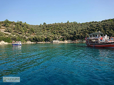 DİKİLİ BADEMLİ'DE 35.568 M² KOMPLE SATILIK ARAZİ FIRSATI